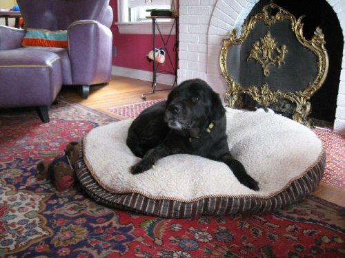 zekejul 09 zekejul 09